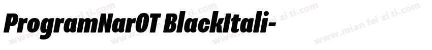 ProgramNarOT BlackItali字体转换
